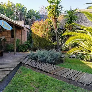 https://saltycrax-backpackers-and-surf-hostel.hotels-capetown.com